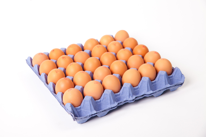 egg trays