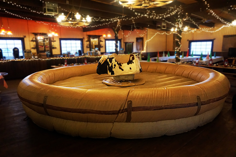 mechanical bull